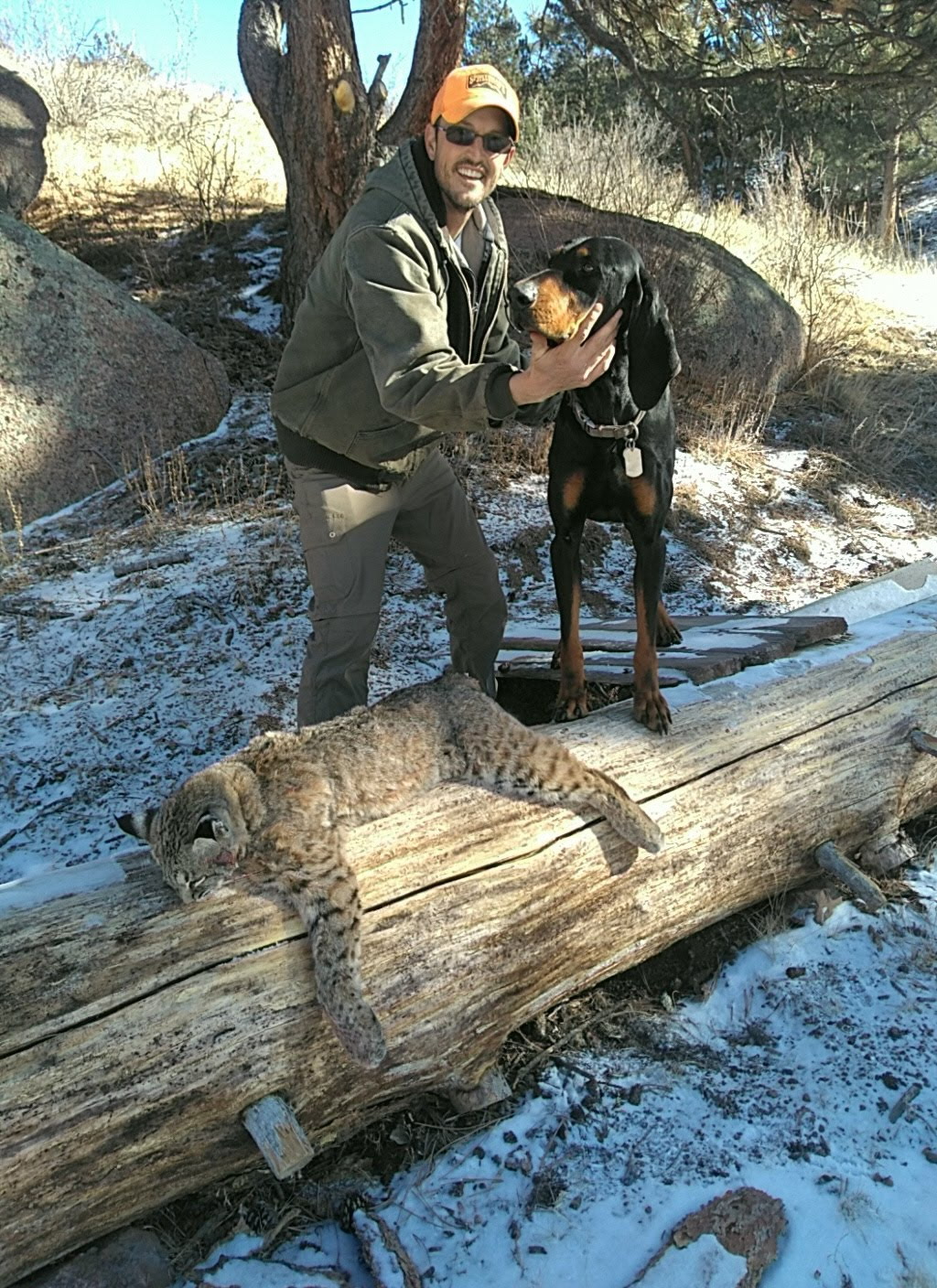 Hunting Dog 8