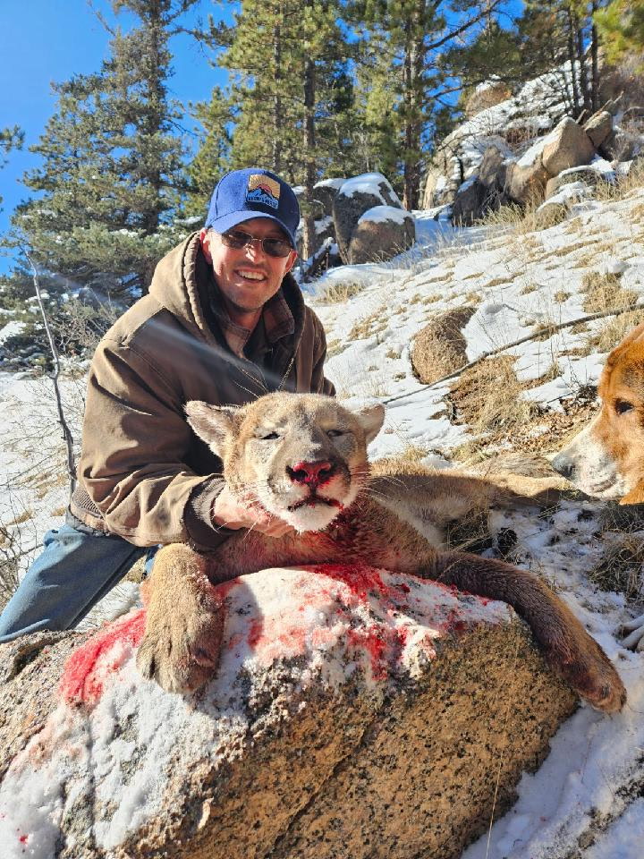 Hunting Dog 13